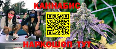 дмт Кингисепп